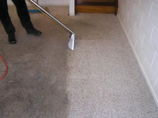 The Hidden Health Risks Of Dirty Carpets In The Workplace The Specialists